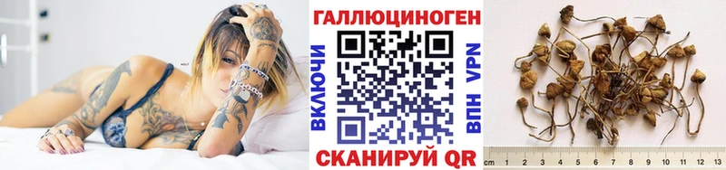 Купить где  Невельск  Галлюциногенные грибы GOLDEN TEACHER 